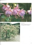 Nijhuis, Miep - Fuchsia's om ons heen