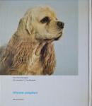Rheenen, Jan van - De Cocker Spaniel - Portret van een hondenras