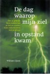 Gijsen, W - De dag waarop mijn ziel in opstand kwam / hoe je gebruik kunt maken van je ziel en contact kunt onderhouden met je gidsen