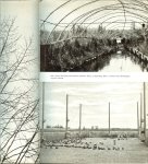 Alfred Edmund Brehm mit 96 Abbildungen auf Tafeln - Das Leben der Vögel