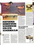 Ewijk, Tom van en anderen - Met Beekse Bergen op safari. Met folder van Vrienden.
