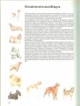 Macdonald, David .. Anderson, Ronald .. Vertaald door Hans Cornelder - Honden .. In deze schitterende uitgave worden honden in al hun verscheidenheid gepresenteerd. U vindt er alles in wat u over honden wilt weten.