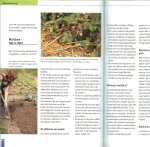 Sulzberger, Robert  Nederlandse vertaling Hajo Geurink - Composteren en bemesten  .. Kortom , dankzij dit boek kunt u het hele  jaar genieten van een mooie gezonde tuin