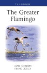 Alan Johnson - Greater Flamingo