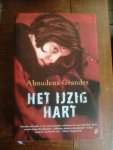 Grandes, Almudena - Het ijzig hart