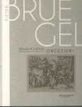 Sellink, Manfred - Bruegel ongezien. De verborgen Antwerpse collecties