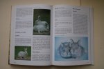 Esther Verhoef - Encyclopedie: Geillustreerde Konijnen & Knaagdieren Encyclopedie hamsters, muizen, ratten, gerbils, fretten, konijnen, chinchilla's enz.