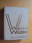 Buskes, J.J. - Wegen in de wildernis
