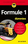 Joe van Burik - Voor Dummies  -   Formule 1 voor dummies