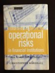 Marshall, Christopher Lee / Lee Christopher Marshall - Measuring and Managing Operational Risks in Financial Institutions / Tools, Techniques, and other Resources / 9780471845959 / Marshall, Christopher Lee / Lee Christopher Marshall / John Wiley & Sons / 0471845957