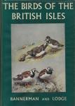 Bannerman, David Armitage - The Birds of the British Isles Volume 9 (Charadriiformes)