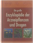 Karl Hiller Matthias F Melzig - Die große Enzyklopädie der Arzneipflanzen und Drogen : in zwei Bänden (zusammen in einem Buch].