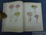 Toshimitsu Fukiharu. - Mushroom Botanical Art