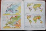 Bos-Zeeman - Atlas der gehele aarde