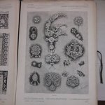Reiber, Émile. - L'art pour tous. Encyclopédie de l'art industriel et décoratif.