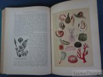 Hermann Wagner  en D. Horn (vertaling). - De natuurlijke historie : naar den vierden druk van "Wagner's Illustrierte Naturgeschichte". Met 306 gekleurde afbeeldingen naar aquarellen van W. Hoffmann en 282 houtgravures.