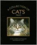 Ditz - A Collection Of Cats Tales