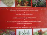 Phillips, Sue (samengesteld) - De praktische kuipplanten - encyclopedie  - creatief tuinieren in potten, kuipen bakken en manden -