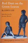 Gay, John - Red Dust on the Green Leaves. A Kpelle Twins' Childhood