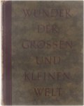Oeser Hans Ludwig - Wunder der grossen und kleinen Welt: Ein Bilderwerk von den Formen und Kräften der Natur