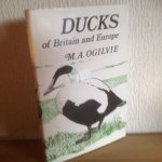 Ogilvie - DUCKS of BRITAIN and EUROPE
