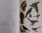 Haverschmidt, Francois; G.F. Mees, Illustrated by Paul Barruel and Inge van Noortwijk - Birds of Suriname
