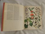 Barbara Everard - Brian D Morley; B. Everard - WILD FLOWERS of the World