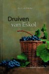 Ds. C. den Ridder - Ridder, Ds. C. den-Druiven van Eskol (nieuw)