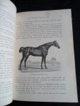Quadekker, E.A.L. - Het Paardenboek, deel 2, Een geïllustreerd handboek voor iederen bezitter en liefhebber van paarden