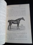 Quadekker, E.A.L. - Het Paardenboek, deel 2, Een geïllustreerd handboek voor iederen bezitter en liefhebber van paarden Quadekker, E.A.L. - Het Paardenboek, deel 2, Een geïllustreerd handboek voor iederen bezitter en liefhebber van paarden