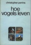 Perrins, Christopher - Hoe vogels leven.