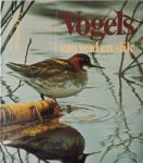 Meindert de Jong - Vogels van wad en slik