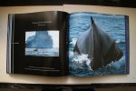 Bill Curtsinger - Een fascinerende reis door de mysterieuze onderwaterwereld Extremen Van de Natuur
