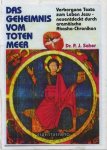 Saher, P.J. - Das Geheimnis vom toten Meer. Verborgene Texte zum Leben Jesu - neuentdeckt durch aramäische Akasha-Chroniken