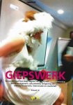 Giep Hagoort - Giepswerk 2