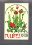 Stork, Adelaide L. - Tulipes sauvages cultivées