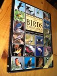 Delin, Hakan & Lars Svensson - Photographic Guide to the Birds of Britain and Europe