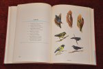 John Eleuthère duPont - Philippine birds