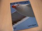 Lofgren - Kust en zeevogels