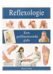 crane, beryl - reflexologie een geillustreerde gids