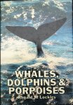 Lockley, Ronald - Whales, dolphines & porpoises (Engelstalig met veel foto`s)