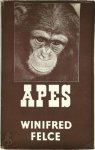 Winifred Felce 267505 - Apes