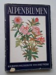 WEISZ, JOSEF, - Alpenblumen.
