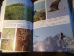 Kirwan, Boyla, Castell, Demirci eva - The Birds of Turkey