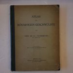 Hansemann, D v . Prof. - De Atlas der bosartigen Geschwulste