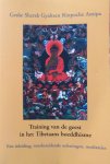 Geshe Sherab Gyaltsen Rinpoche Amipa - Training van de geest in het Tibetaans boeddhisme; een inleiding, voorbereidende oefeningen, meditaties