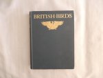 Kirkman F.B. - Jourdain F.C.R.  /  Frederick Bernulf Kirkman; Francis Charles Robert Jourdain - British birds -  200 plates in Full Colour