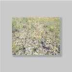 Berger, Wout (Ridderkerk/Netherlands, 1941) - - Wout Berger