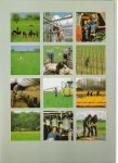 bos, ronald - landelijk gezien ( unieke kijk op mensen in land- en tuinbouw )