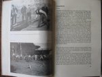 Historische Vereniging Staphorst - Wie een ambacht heeft geleerd...Ambachten in de gemeente Staphorst deel 2 Hout